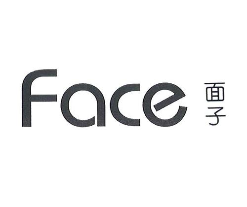 面子绘制框架截图