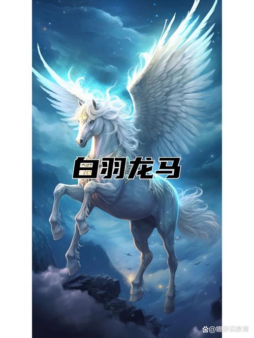 龙马文学城截图