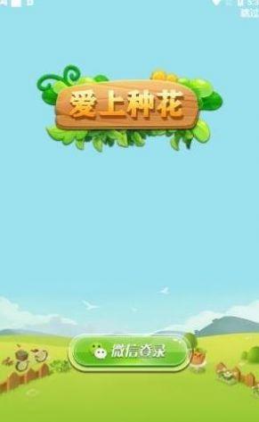 爱上种花领红包版截图