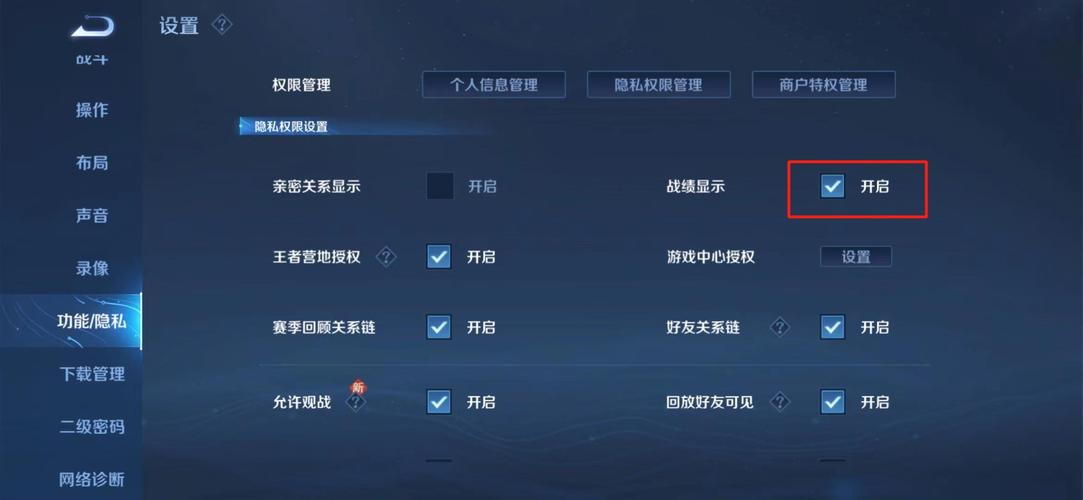 王者荣耀隐藏战绩查询