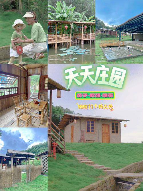 天天庄园最新版截图