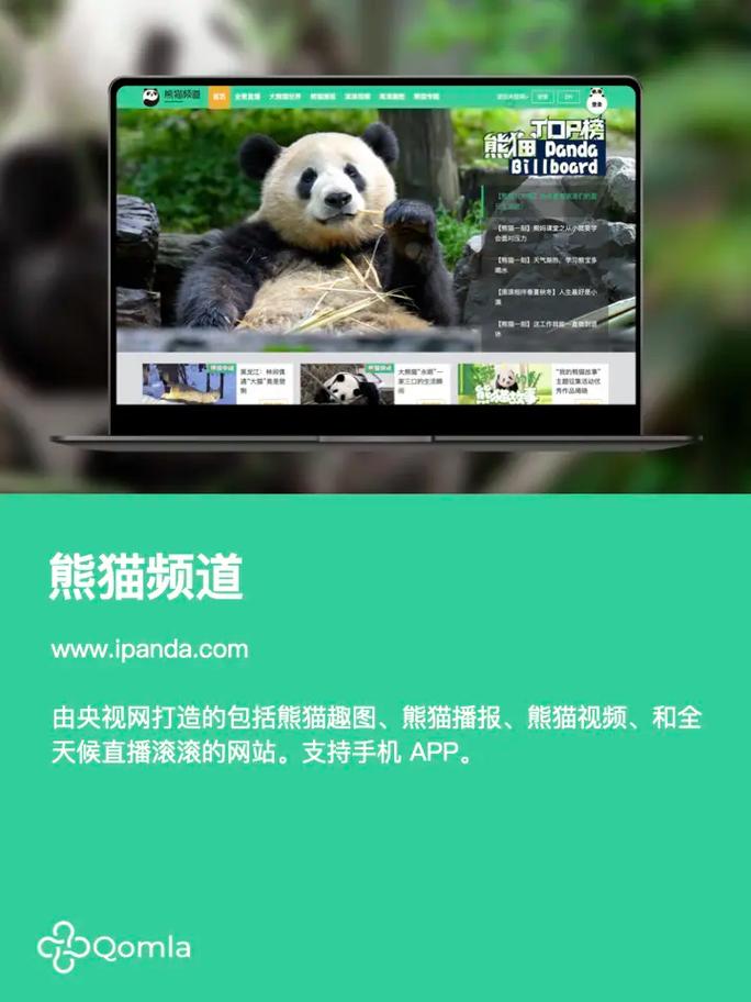 熊猫vp最新版2022安卓版截图