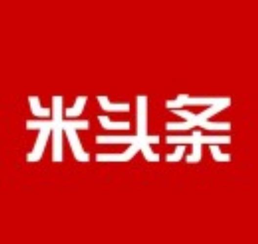 米头条app