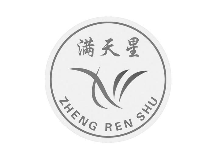 漫天星安卓版
