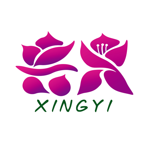 新朝文化app