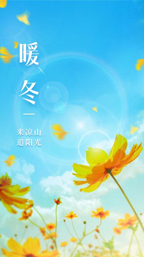 初冬暖阳安卓下载截图