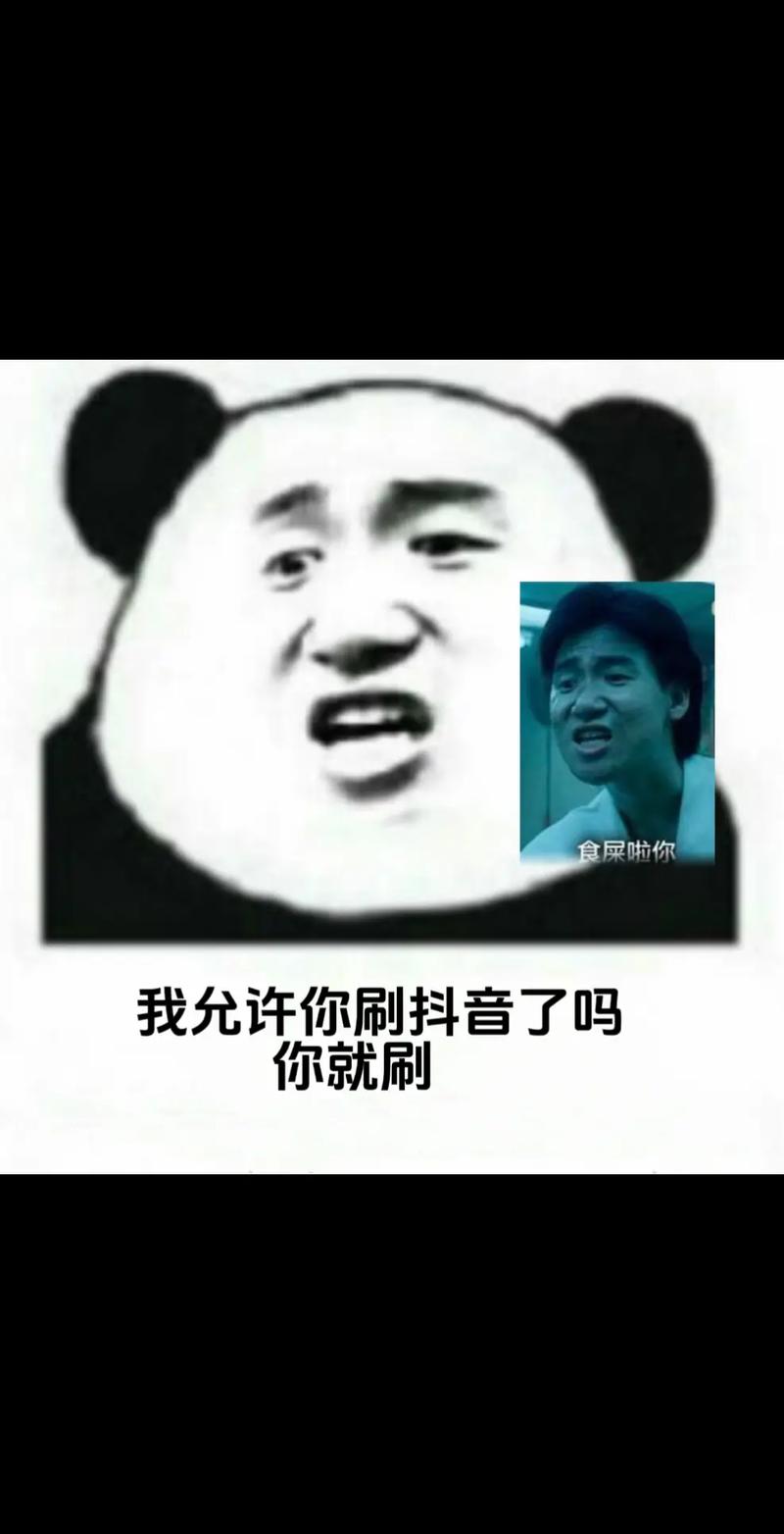和你聊天我还不如去刷抖音表情包