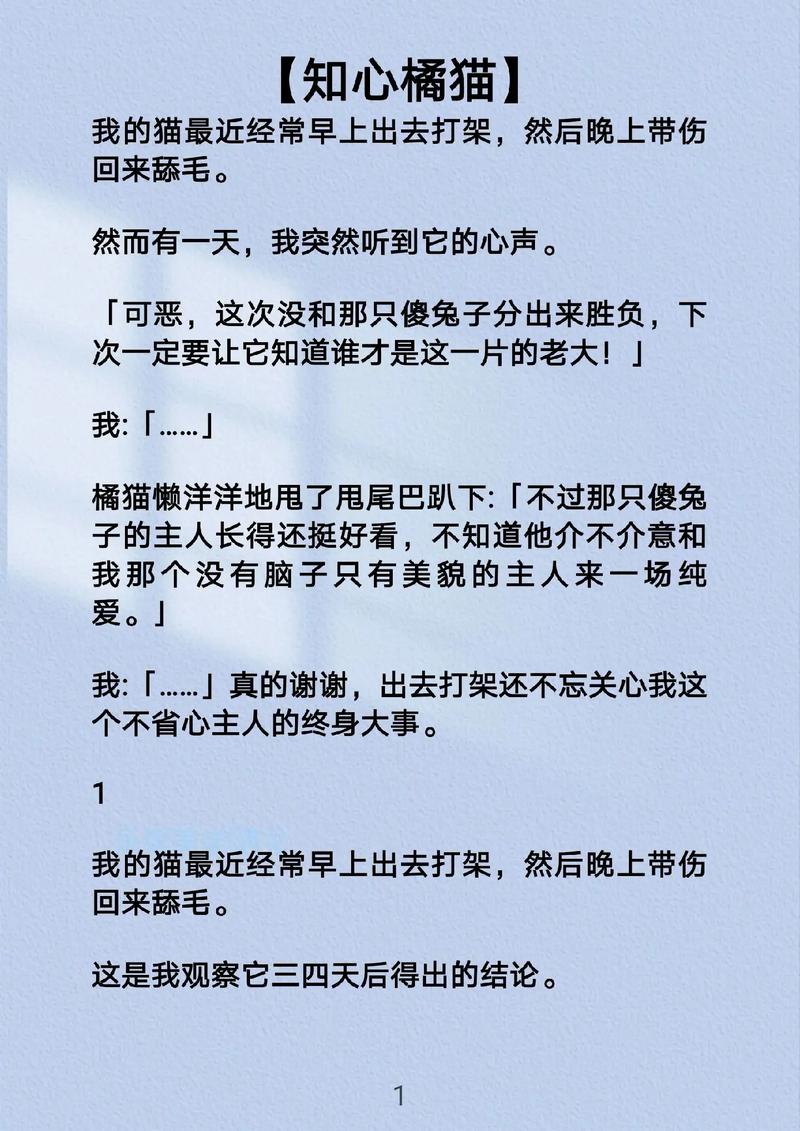 橘子猫小说