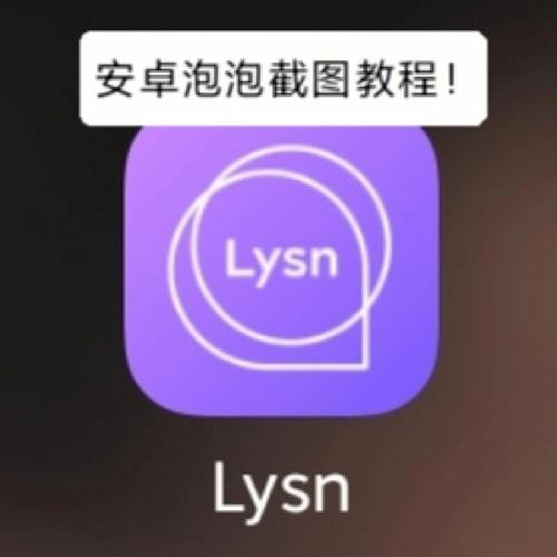 Lysn泡泡2023截图