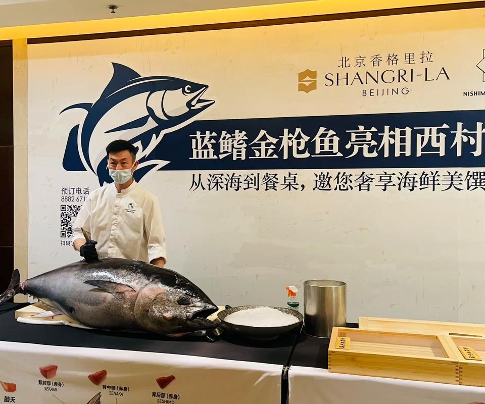 金枪鱼快讯红包版截图
