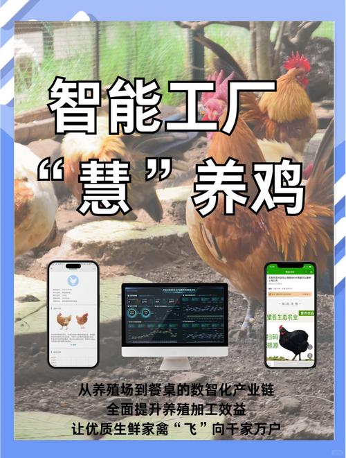 智慧养鸡