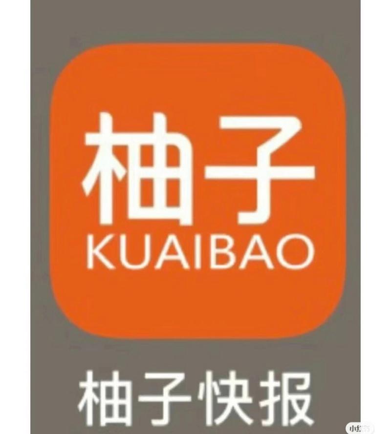 柚子语音截图