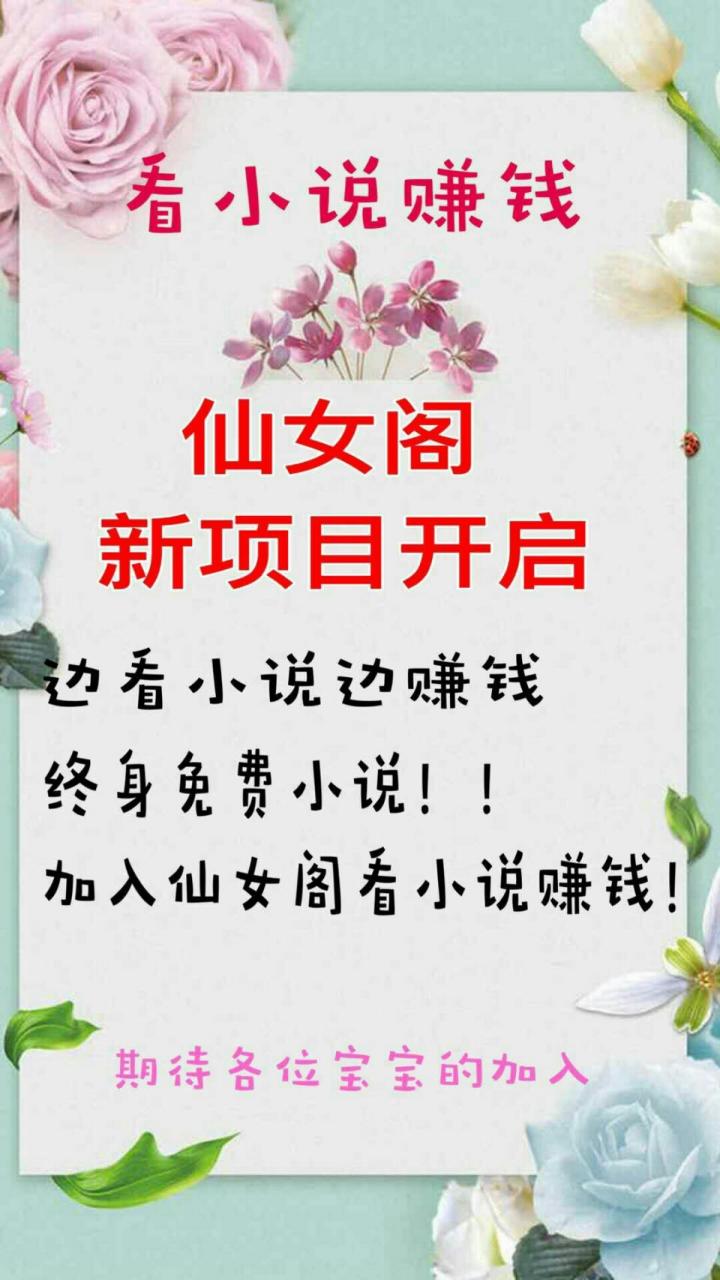 仙女小说赚钱版截图