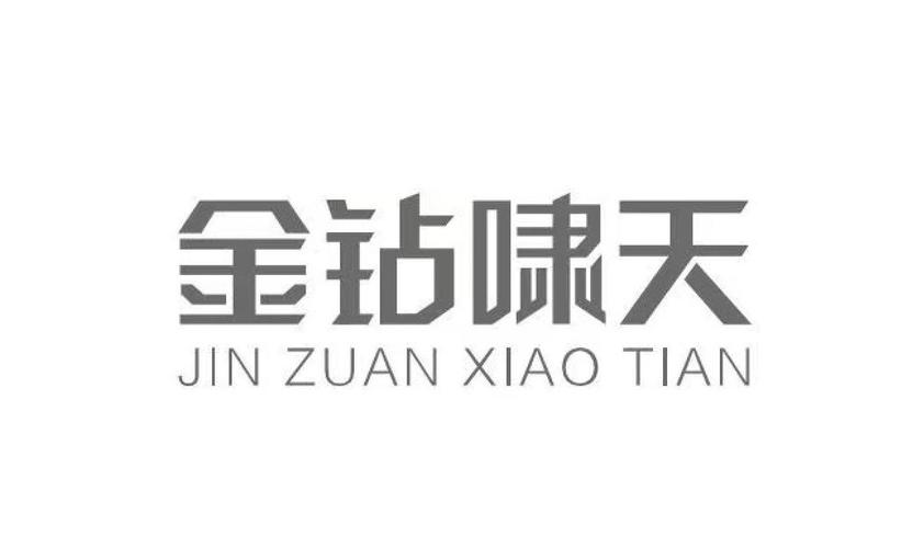 啸天框架2023图标