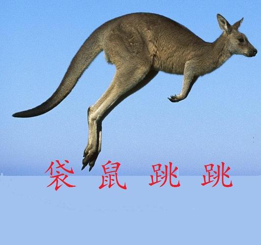 袋鼠跳跳2022最新版本截图