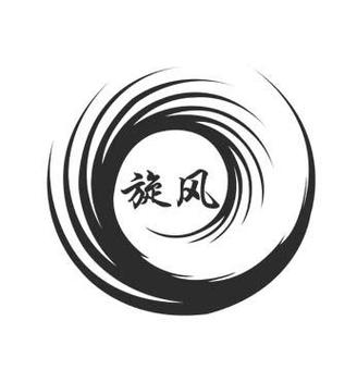 旋风全新正版下载