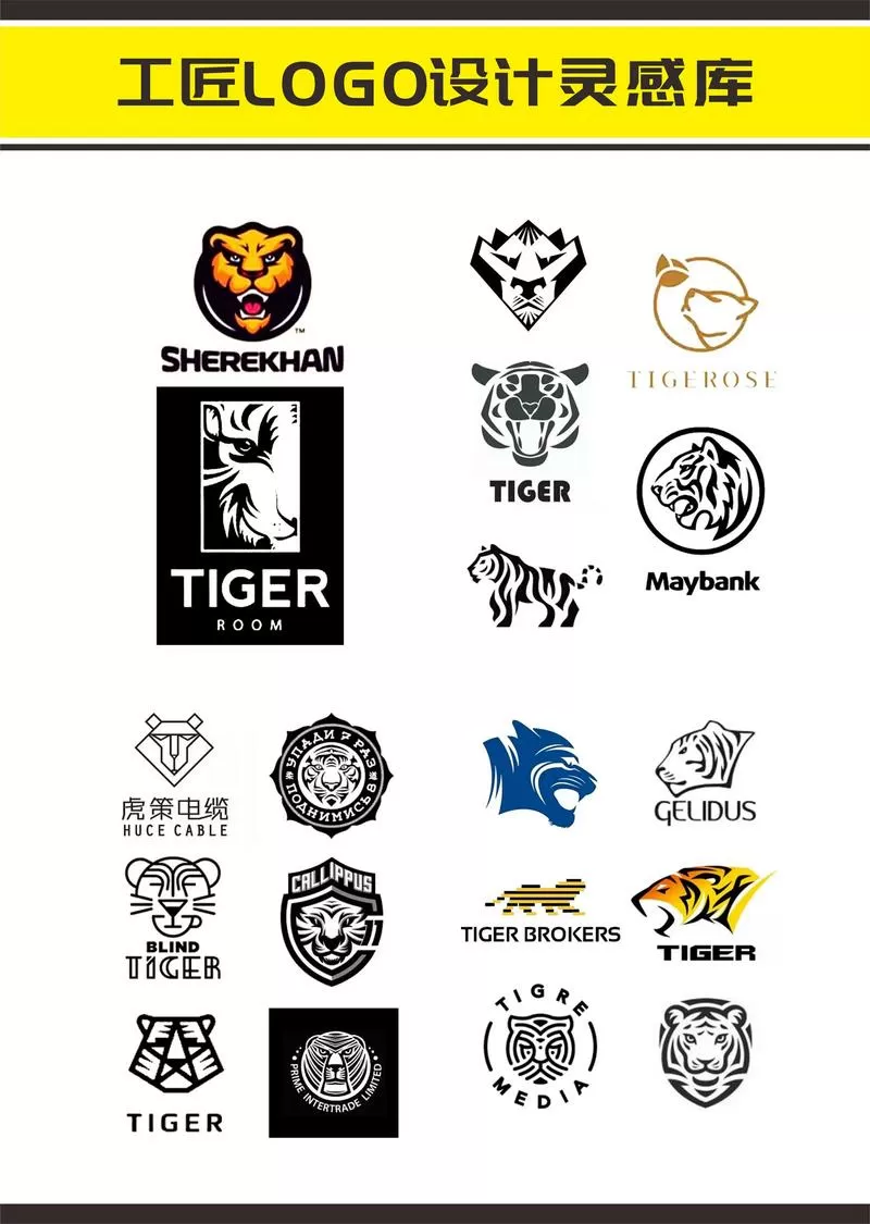 兽指的是什么动物
