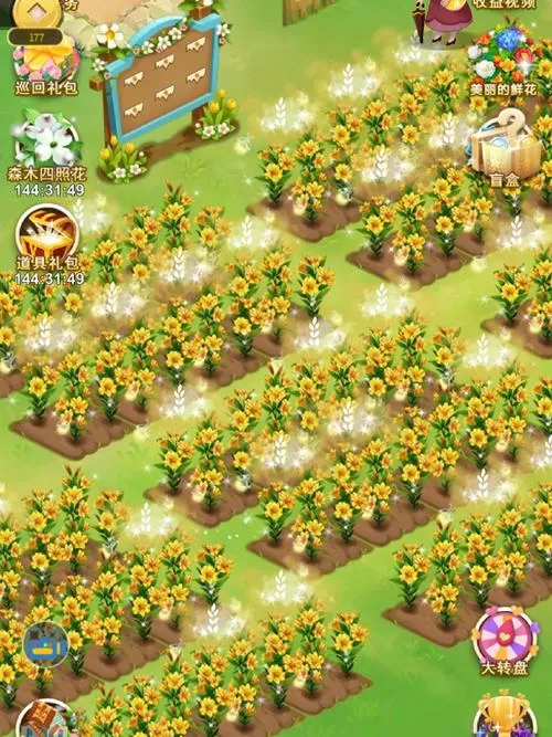 4399鲜花小镇