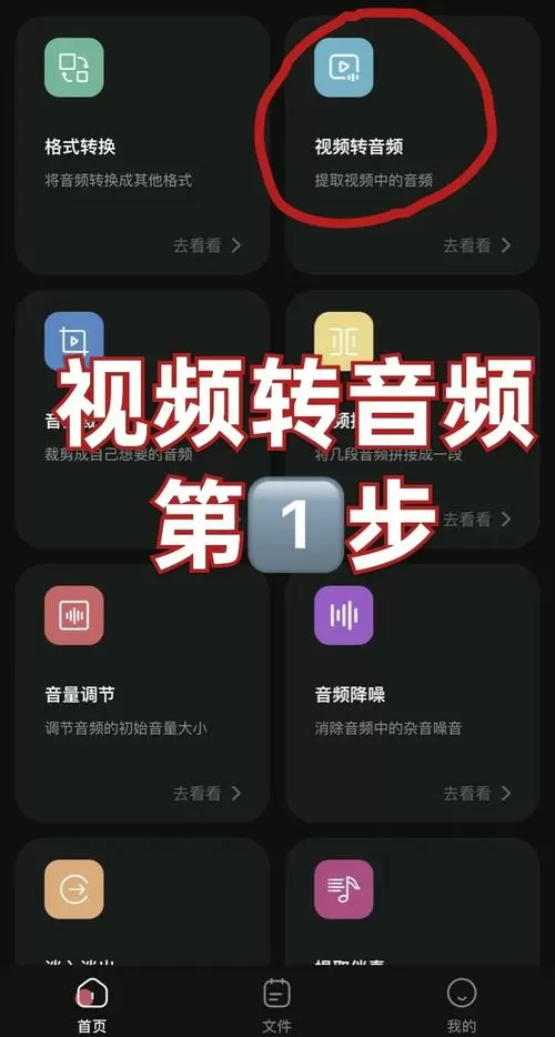 视频声音怎么换成别人的