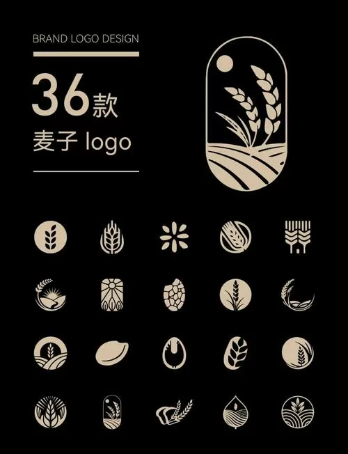 麦子科技有限公司
