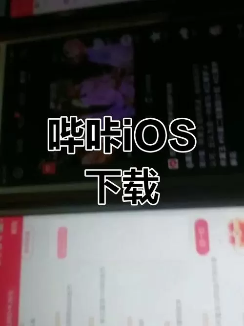 现在哔咔怎么下载