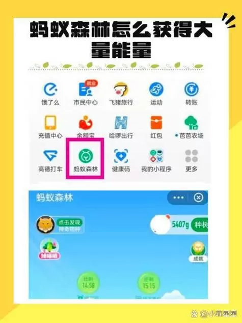 支付宝蚂蚁森林能量不见是咋回事