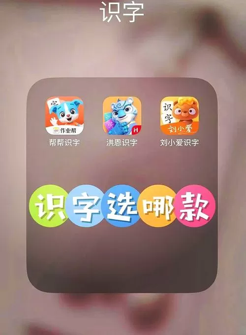 学汉字3500汉字软件