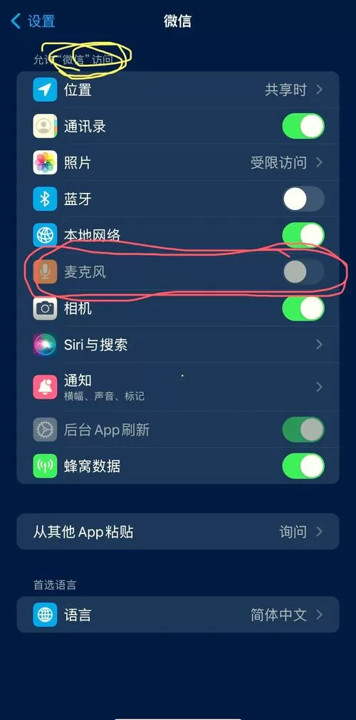 苹果麦克风权限没有选项怎么办