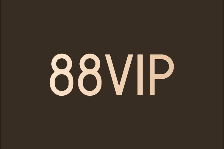 vip最多几个人登录截图