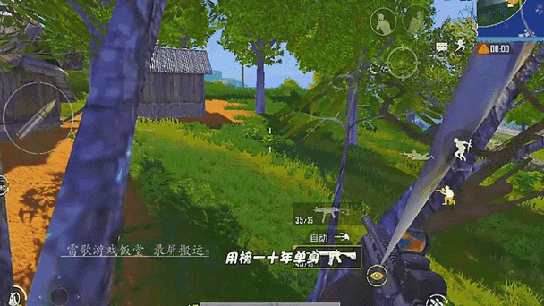和平精英国际服绿色资源网截图