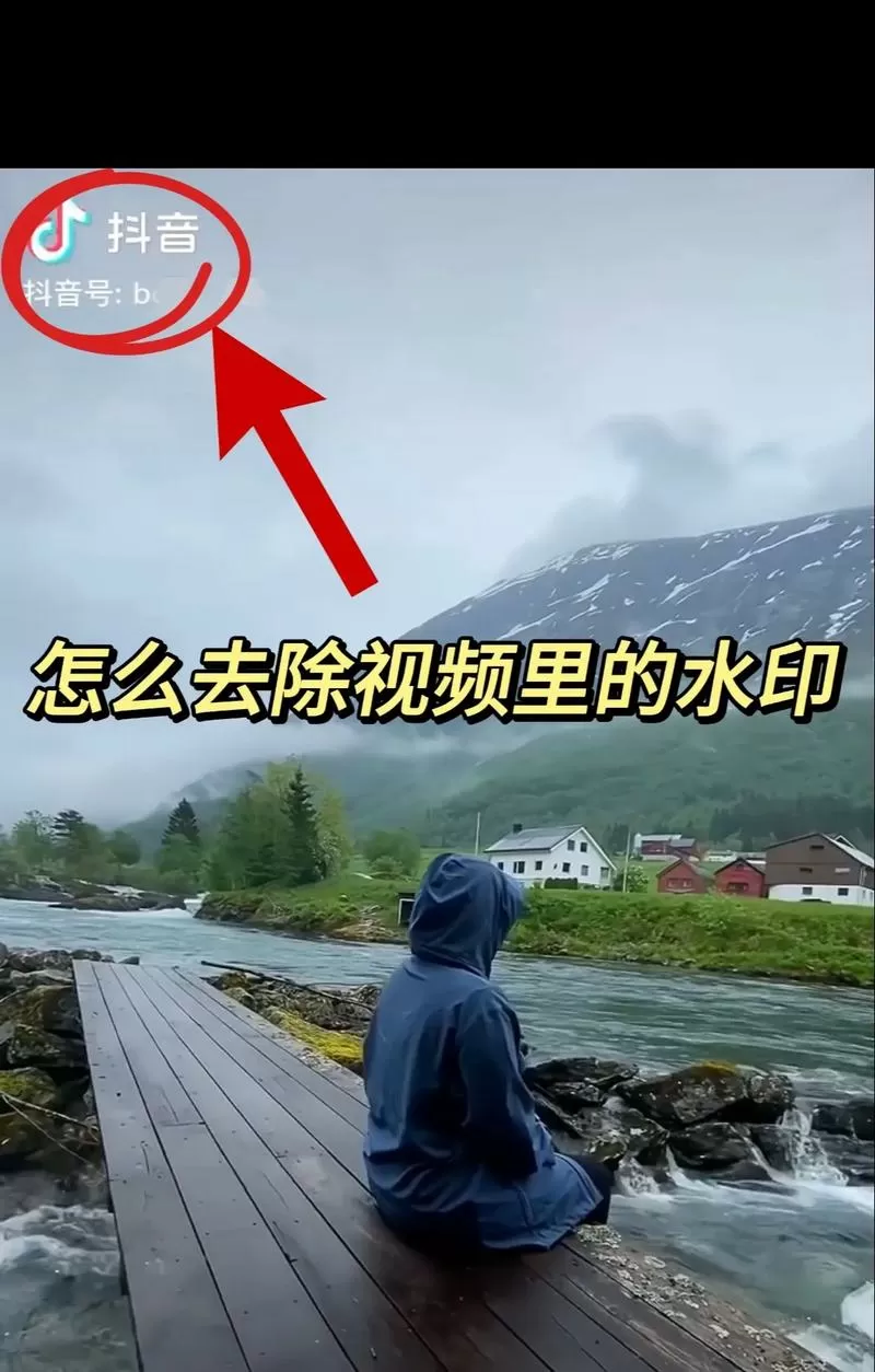 怎样去除小红书视频上的文字