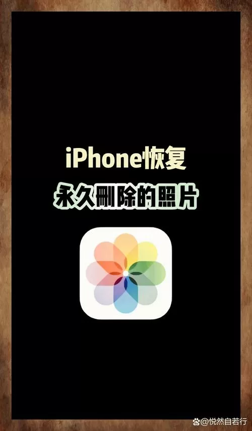 手机照片恢复永久删掉的相片免费截图