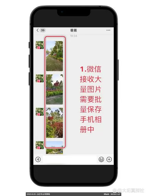 微信的照片怎么保存到相册里