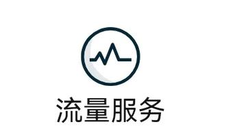 人工查流量怎么打