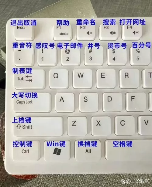 键盘输入不了中文怎么回事截图
