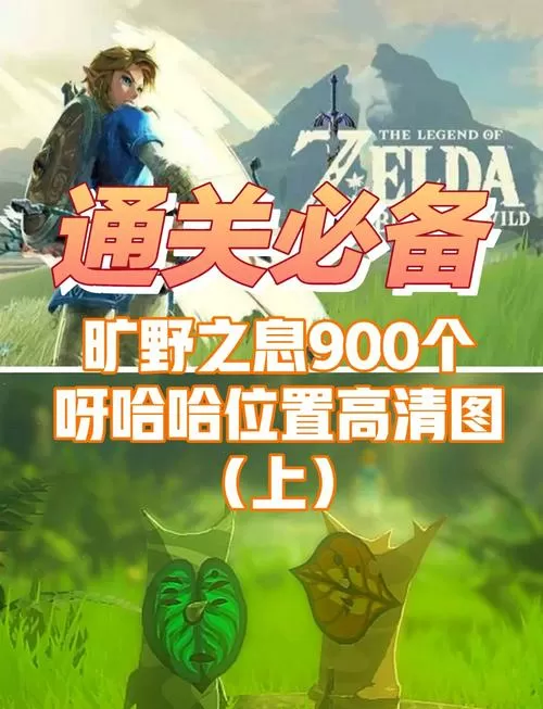 塞尔达沼泽地塔怎么上