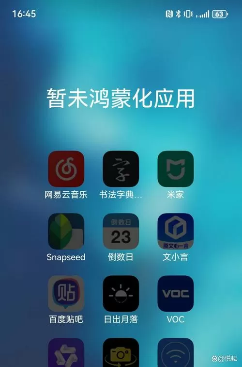 推特鸿蒙版安装包破解版永久免费使用缩略图