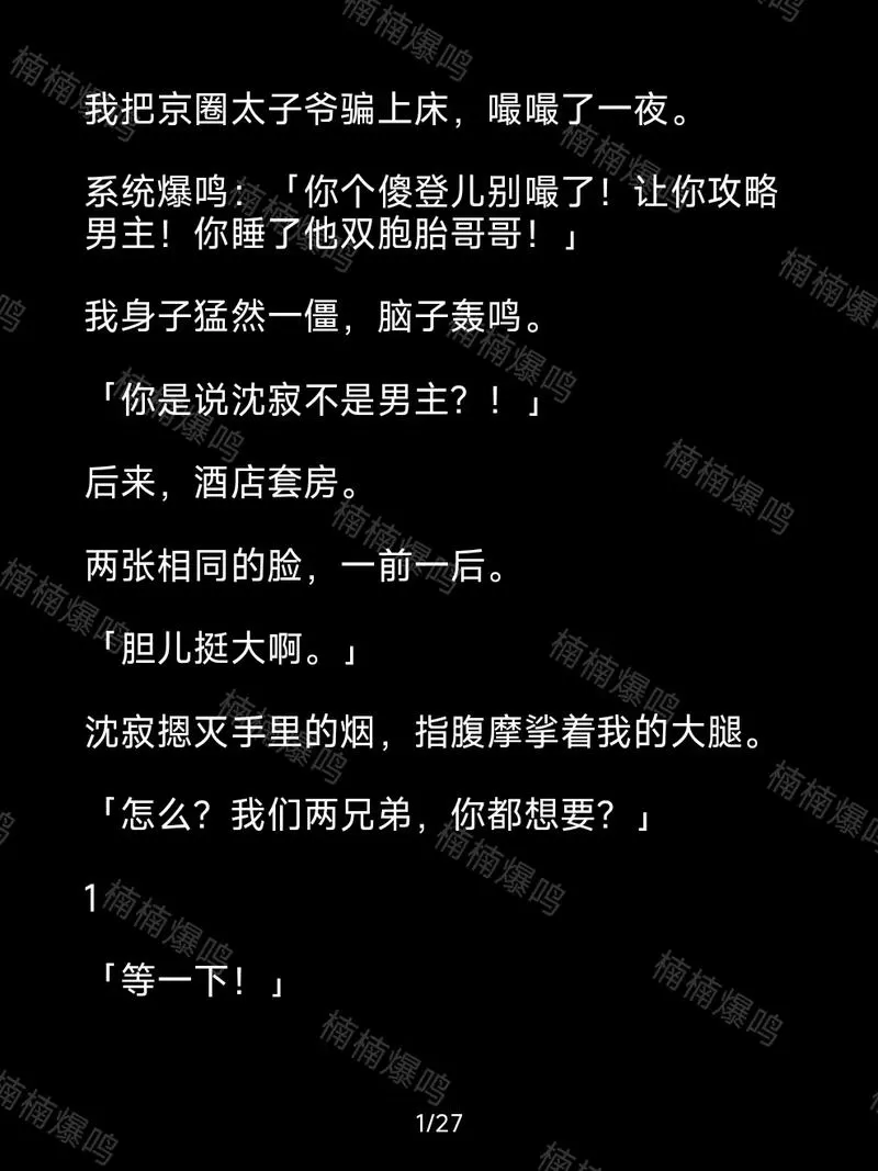 楠楠系列小说全文免费阅读游戏截图