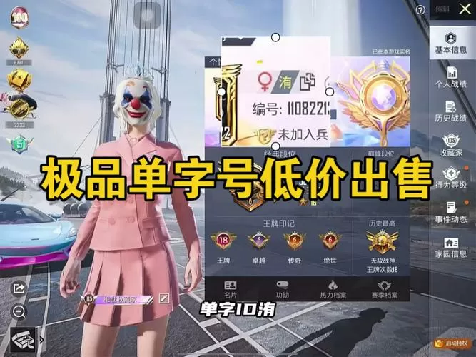 和平精英号免费