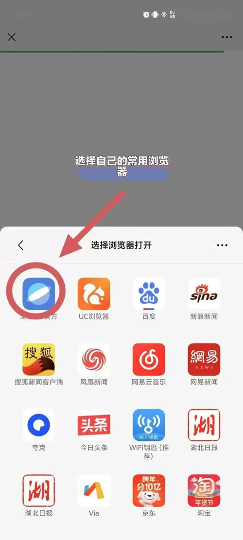 复制到浏览器打开观看图标