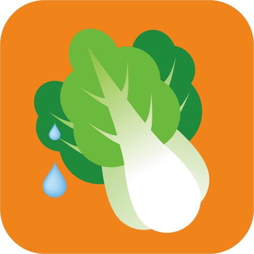 我的炒菜摊安卓下载