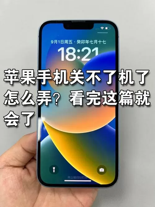 手机点对点服务是不是关机了
