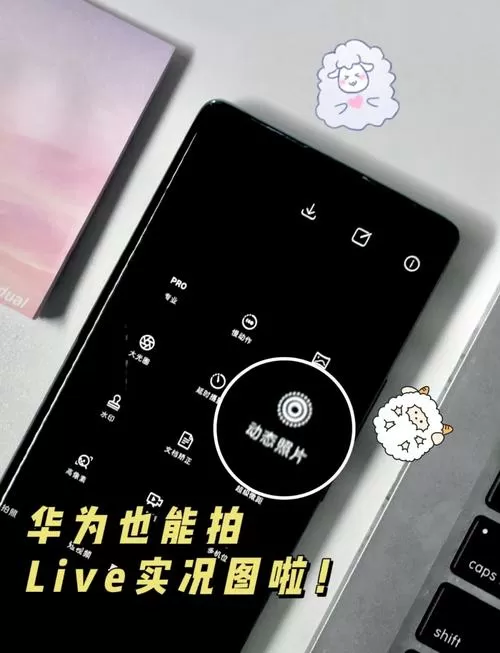 拍live是什么意思