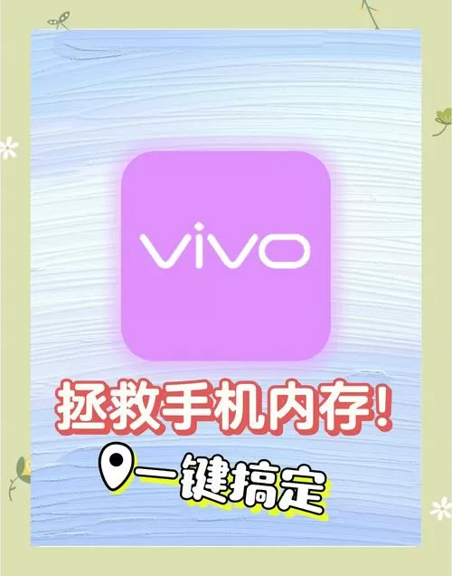 vivo怎么清除缓存