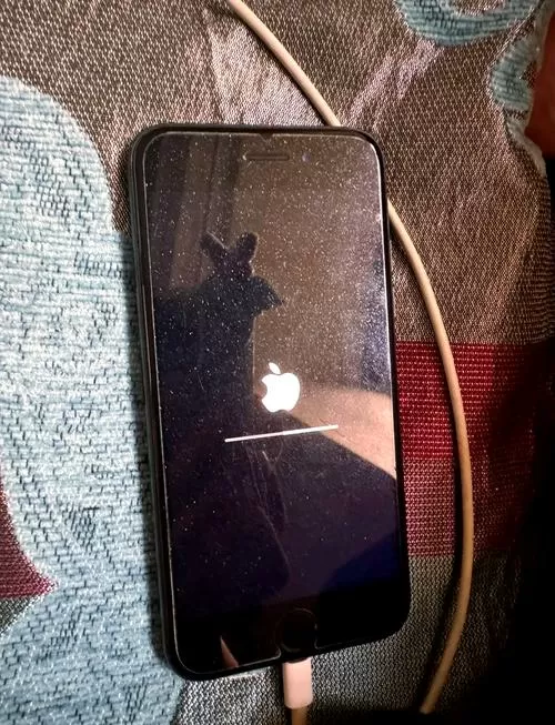 苹果7拆机后home键失效