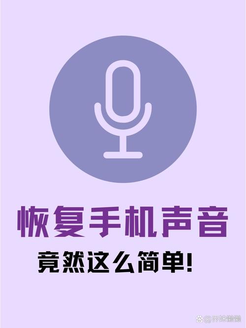手机媒体音量开了但是没有声音截图