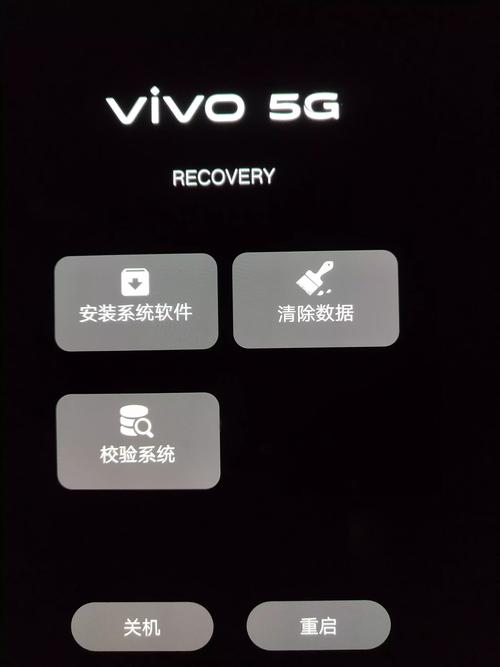 vivo强制退出recovery