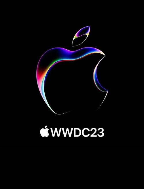 ipad设置应用竖屏
