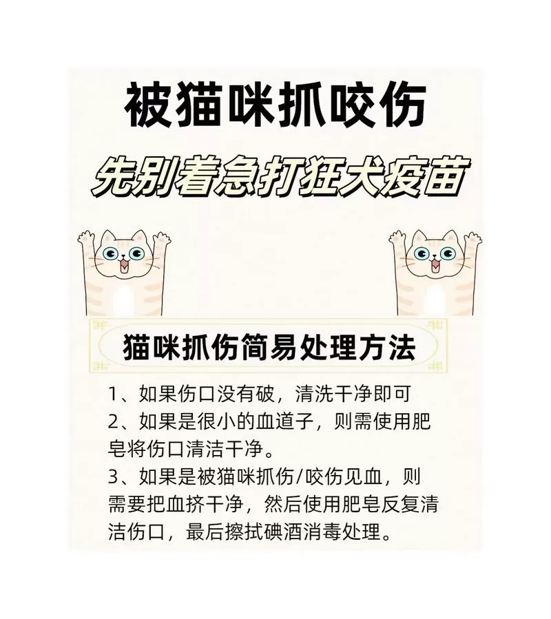 小猫挠自己身上什么原因截图