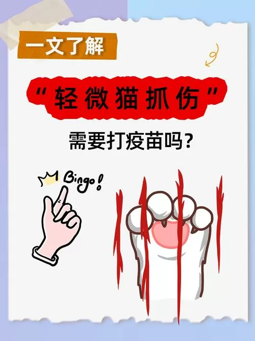 被猫饶了要打疫苗吗截图